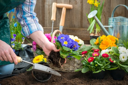 Professional lawn mower service in Catford