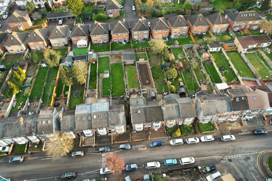 An aerial view of a residential street in Catford, showing a row of terraced houses with small front gardens and parked cars along the pavement. Behind the houses, there are numerous backyards with we